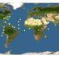 Discover Life: Point Map of Caligus coryphaenae
